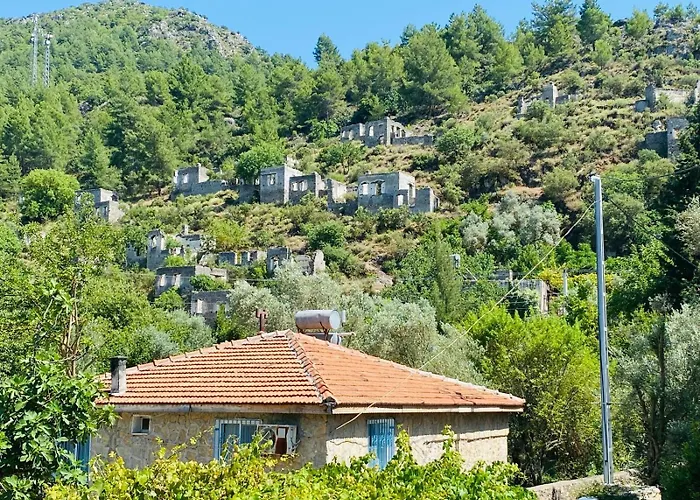 Villa Plum Garden